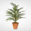 Real Touch Faux Palm Plant in Ceramic Pot