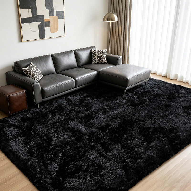 Aalieyah High Pile Fluffy Shaggy Area Rug for Indoor Use Black, 160*230cm