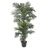  6.5ft. Golden Cane Palm Silk Tree