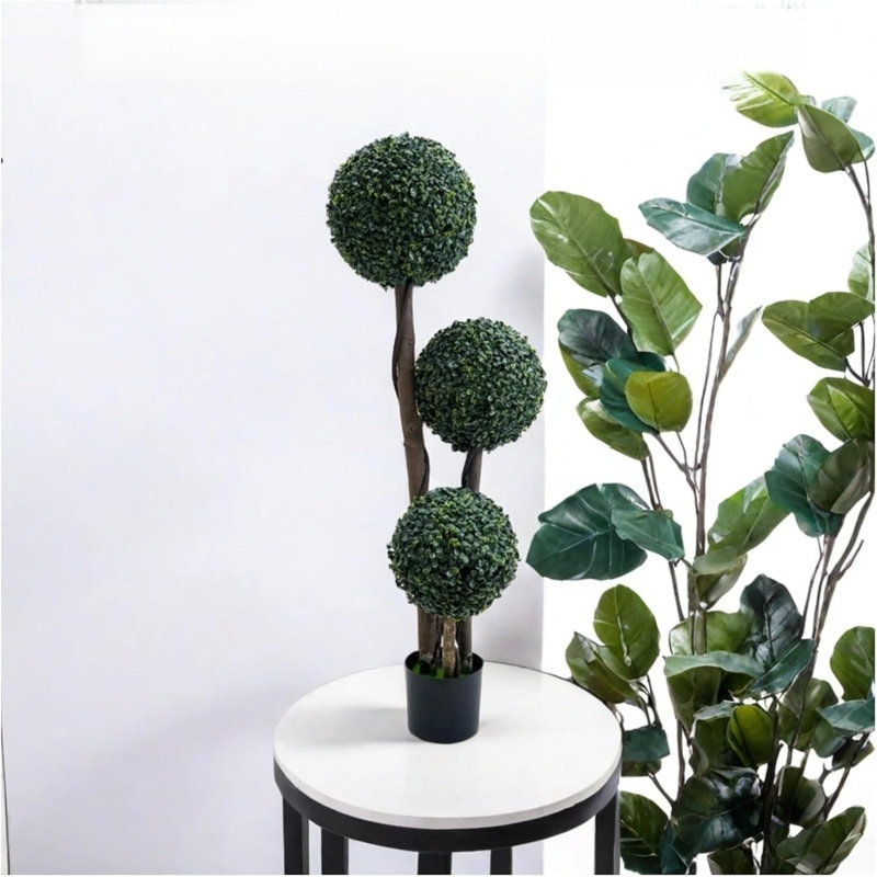 90cm Plant