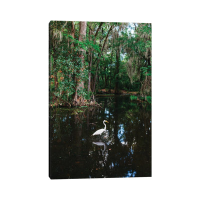 Charleston's Magnolia Plantation VI 1 Piece Wall Art on Canvas