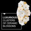 Marianne 2 - Light Flush Mounted Sconce