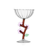 Botanica - Champagne Bowl Peach Blossom 9.5 Oz