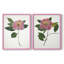 Imprimé encadré PressedCamelliaI-Premium - prêt à être accroché - aucun clou requis - aucun clou requis-513466883-513466941