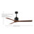 Nan 42" Ceiling Fan In Blades-12185774-61451649