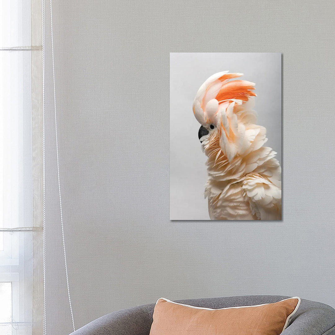 A Vulnerable Salmon-Crested Cockatoo At The Sedgwick County Zoo von Joel Sartore - Gallery-Wrapped Canvas Giclée on Canv...