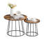 Almiro Frame Coffee Table-819781301