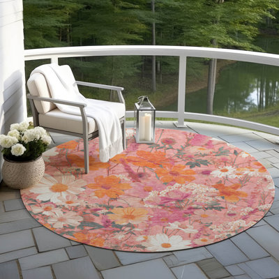 Machine Washable Indoor/Outdoor Claudian ACN1507 Blush Rug