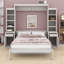 Lit escamotable mural peu encombrant pour la maison, avec bureau et tiroirs de rangement-129239721