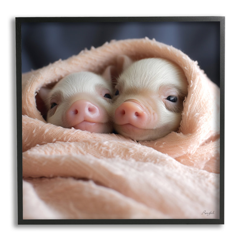 «Cuddling Sleepy Piglets» par Roozbeh, reproduction d'art sur toile, H 12 po x l 12 po, Giclée encadrée noir minuit