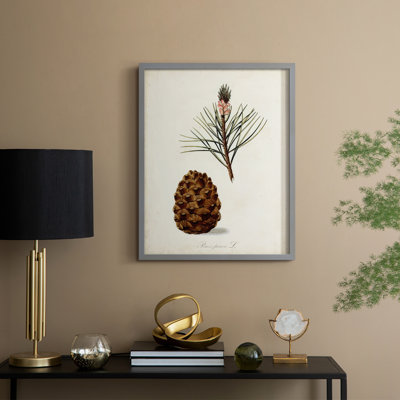 Étude d'arbre antique V, reproduction encadrée - bois massif