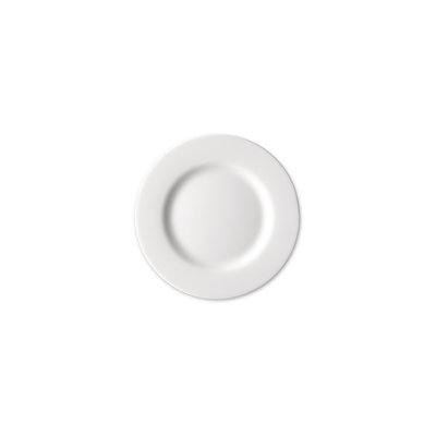 Porcelain Salad/Dessert Plate