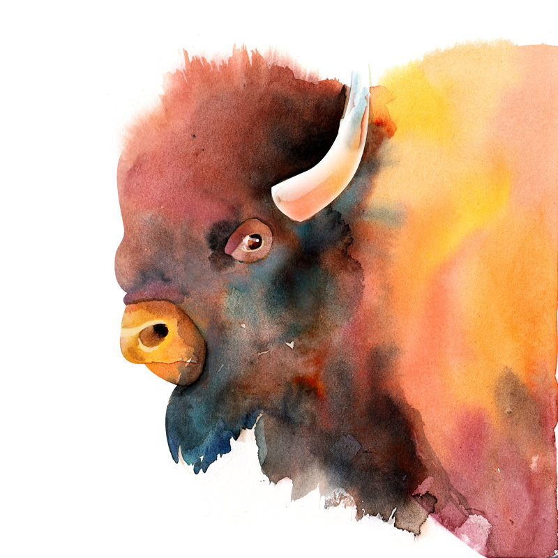 Mountain Bison - Wrapped Canvas Print, 122cm H x 122cm W x 3.8cm D