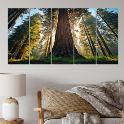 «Redwood Majesty Tree Forest I» sur toile, reproduction de 5 pièces