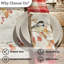 Ensemble de 4 serviettes de table Park Designs Fall Blessings