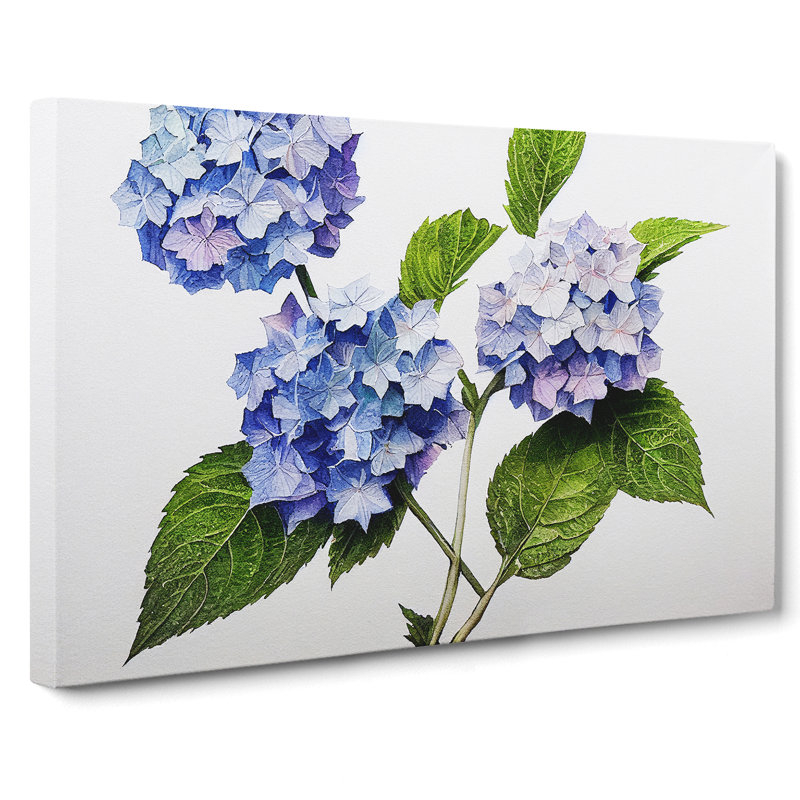 Hydrangea Vol.1 - Wrapped Canvas, 35cm H x 50cm W x 3cm D