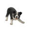 Statue de jardin Border Collie