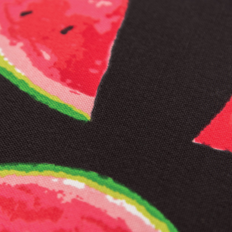 Watermelon Slice Black Polyester Outdoor Throw Pillow 22" x 22"