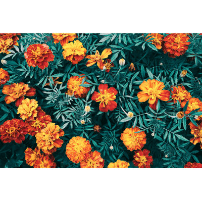 " Beautiful Floral Background. Texture Of Garden Flowers " by Alexeus