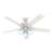 52" Whittier 5 - Blade Standard Ceiling Fan with Pull Chain and Light Kit Included
