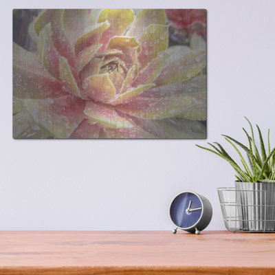 Art mural en métal luxueux «Droplet Of The Desert 1» par Life BeautifuLEE, 16 po x 12 po