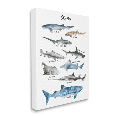 Nautical Shark Chart Watercolor Marine Animals by Ziwei Li - Graphic Art