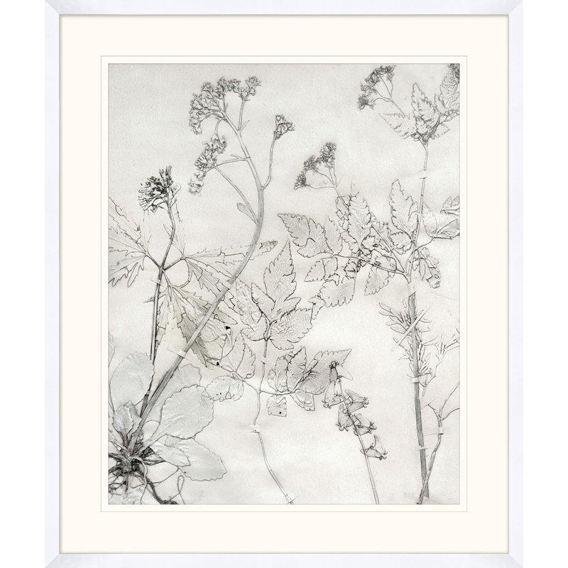 Peinture à fleurs peintes et pressées 6 - Peinture encadrée