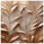 Medium Beige Light Bronze