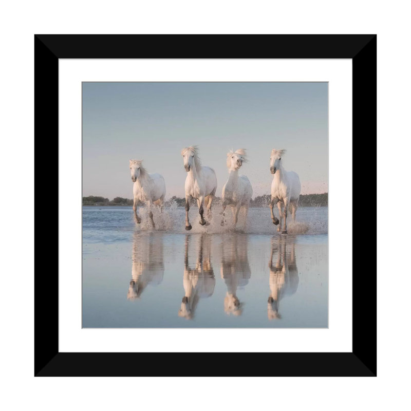 « white anges of camargue iii », reproduction de photo sur toile, H 24 po x l 24 po x P 1 po, Papier beaux-arts encadré noir