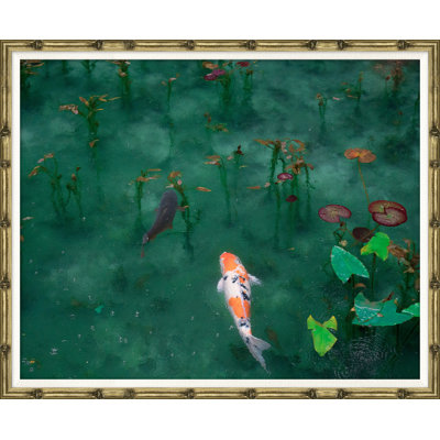 Koi Fish Pond Giclee Print
