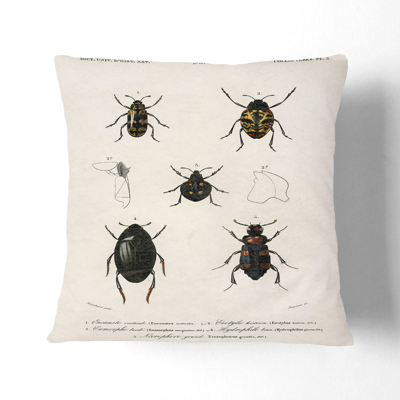 Square Throw Cushion, 55 x 55 cm, White