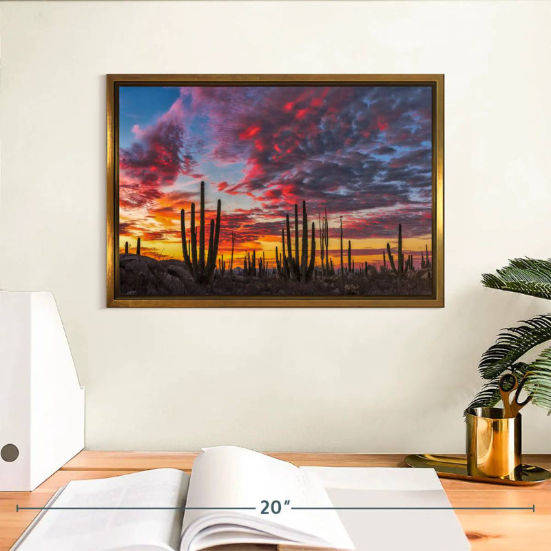 Forêt de cactus de Baja California, Cadre flottant doré, 13 po x 9 po