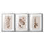 Monochromes botaniques I - Impression encadrée personnalisée de qualité supérieure - 3 pièces-1390574744-1390574746