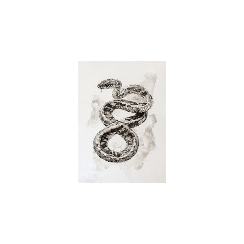 Wrapped Canvas Print, 76.2cm H x 50.8 cm W
