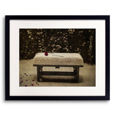 Roses In Snow Print by Robert Dodge