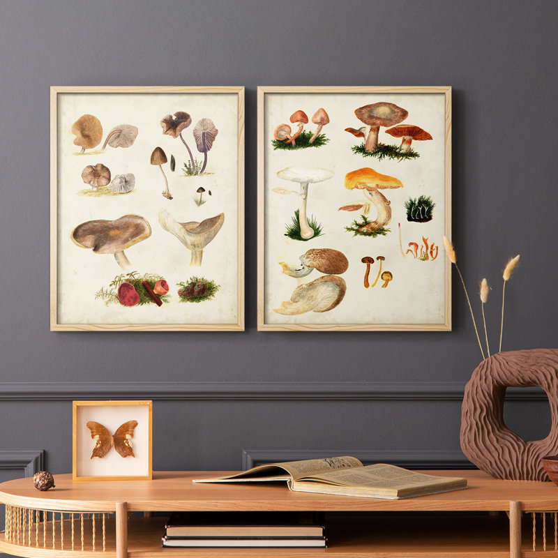Champignon III - Reproduction encadrée de qualité supérieure - prêt à être accroché - aucun clou requis - aucun clou requis
