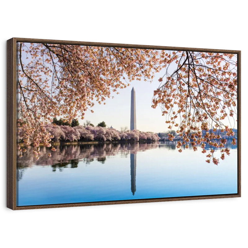 Washington DC Spring, 46" X 31", Floating Frame Walnut