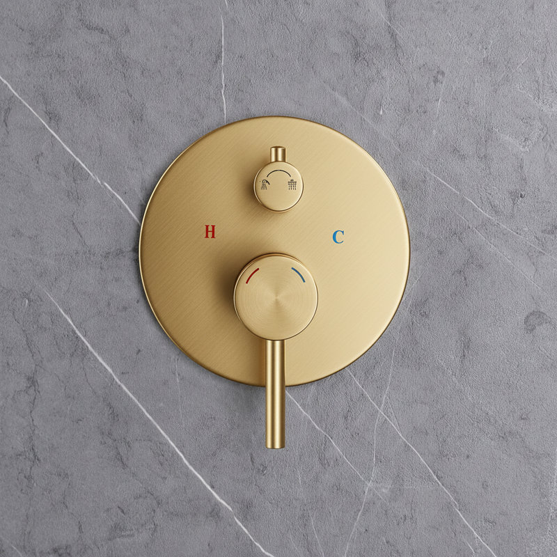 Système de douche mural 10 po à double fonction en or brossé avec valve brute, tête de pluie et douchette, Or brossé