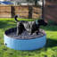 Baignoire pliable pour animaux domestiques-39949493-39923581
