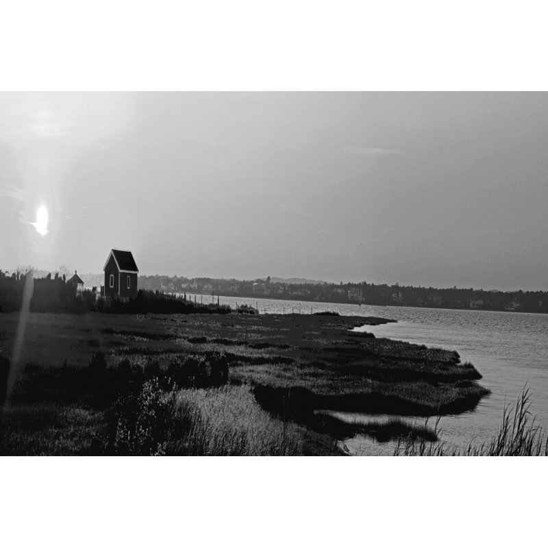Shore Panorama VI - Wrapped Canvas Print, 30cm H x 46cm W x 3.8cm D