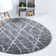 Striped Indoor Rug