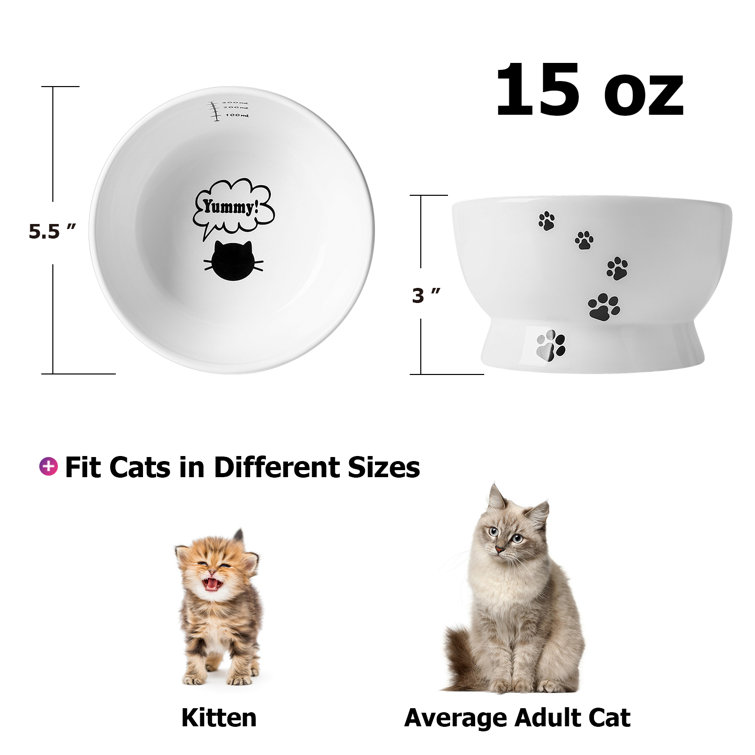 Should You Buy An Elevated Cat Bowl?