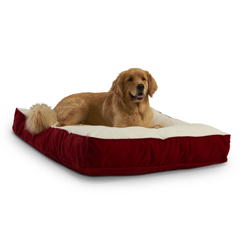 Lit pour chien Olivarez Classic, Grand (L 48 po x l 36 po x H 6 po), Cramoisi