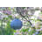 8'' Solar Powered Integrated LED Outdoor Lantern