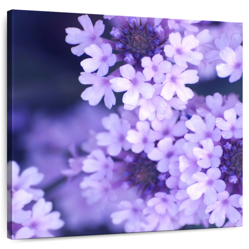 Harnek Purple Flowers, 20" H x 20" W