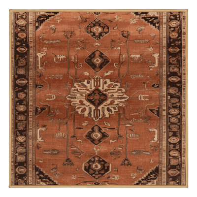 Machine Washable Persian Brown Area Rug