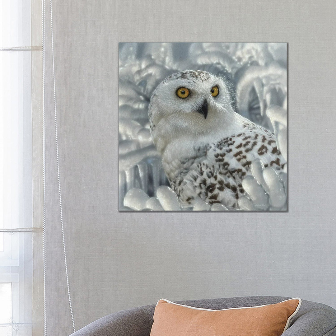Snowy Owl Sanctuary by Collin Bogle - Wrapped Canvas Print
