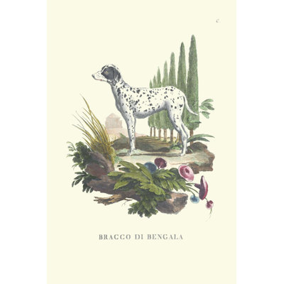 Chiens français V