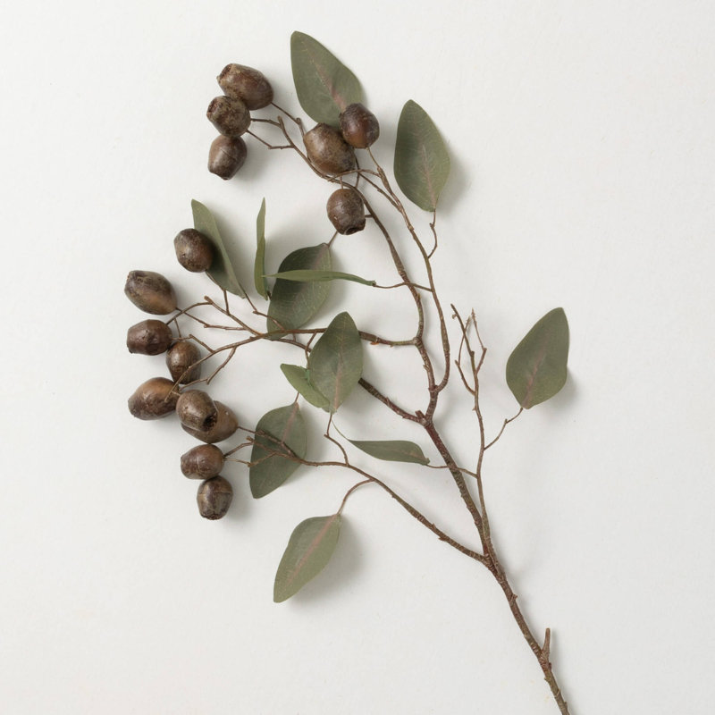 Vaporisateur d'eucalyptus 27 "artificiel 27"