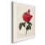 Red Botanical III - cadre photo, impression sur toile-61317223-61317222
